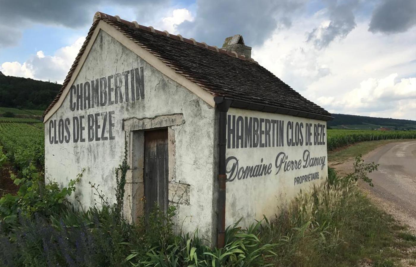 GEVREY CHAMBERTIN
