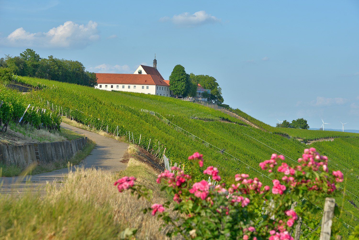 VOGELSBURG